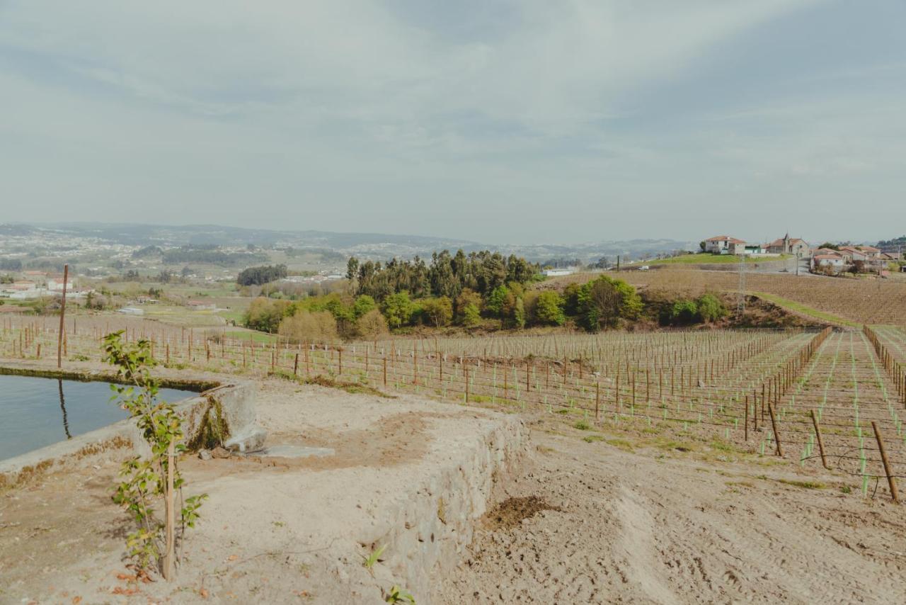 Vila The Farmhouse I - Uma Quinta Deslumbrante Felgueiras Exteriér fotografie