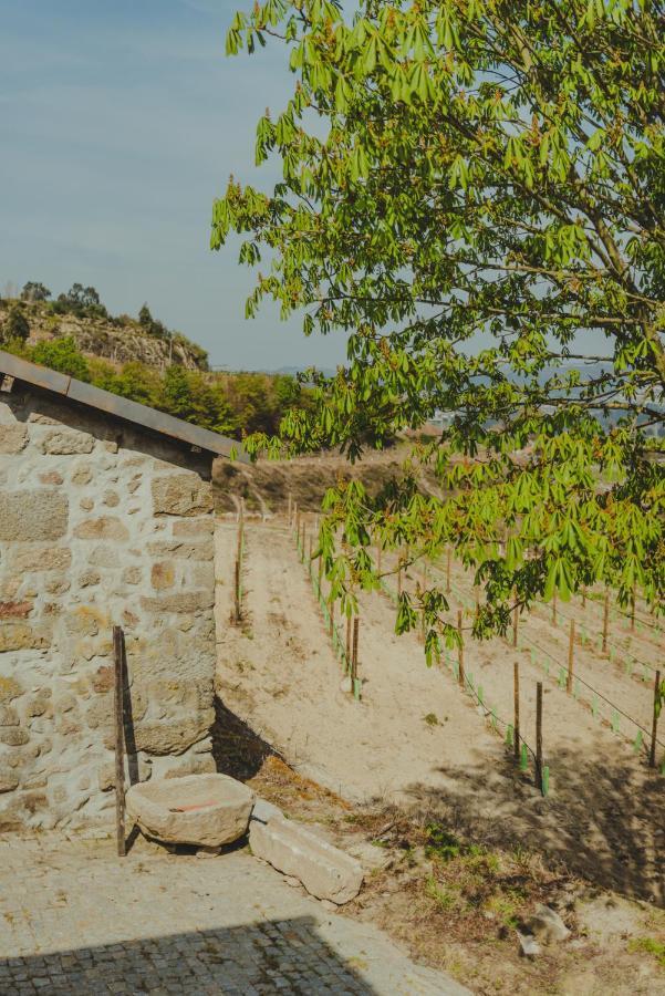 Vila The Farmhouse I - Uma Quinta Deslumbrante Felgueiras Exteriér fotografie