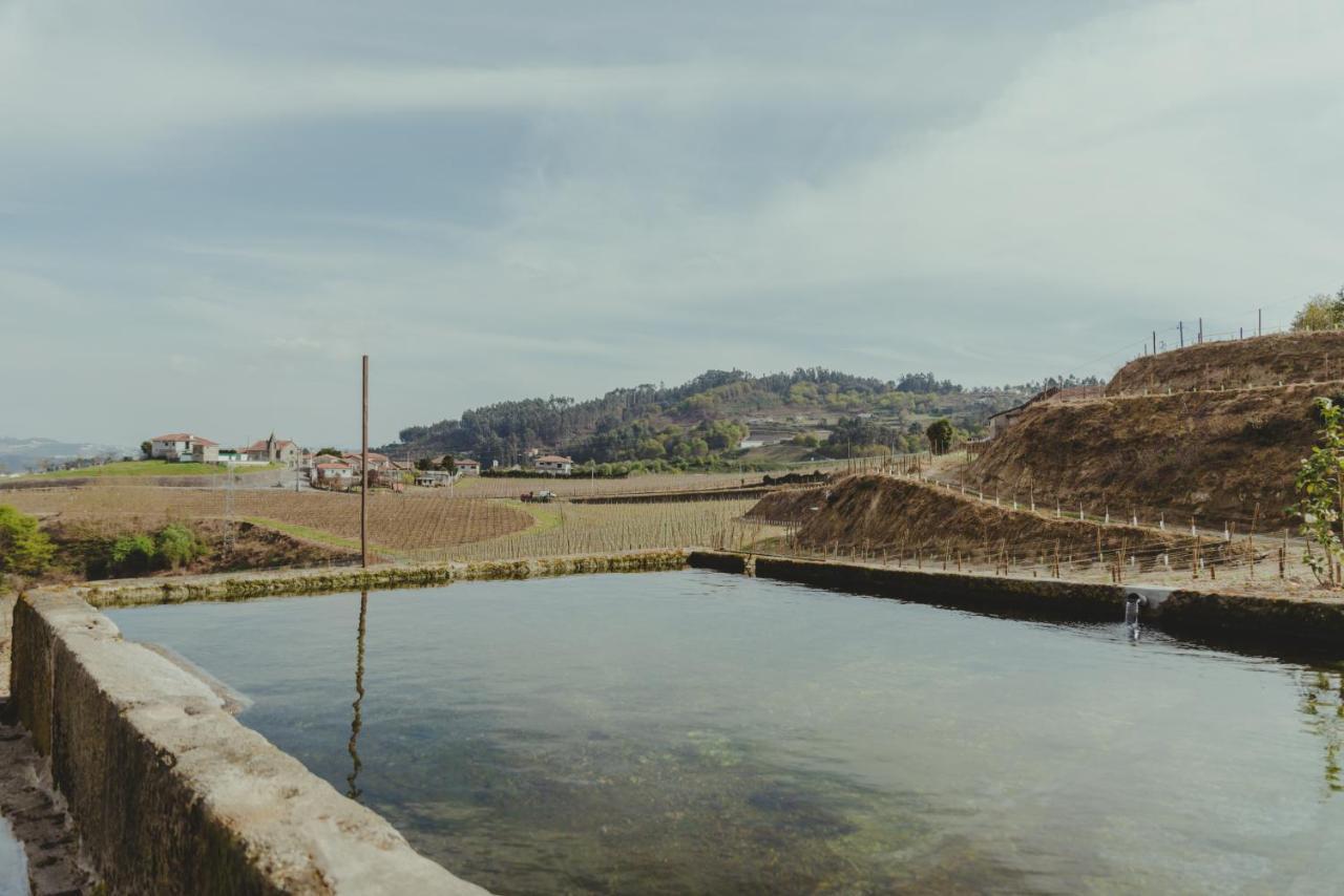 Vila The Farmhouse I - Uma Quinta Deslumbrante Felgueiras Exteriér fotografie