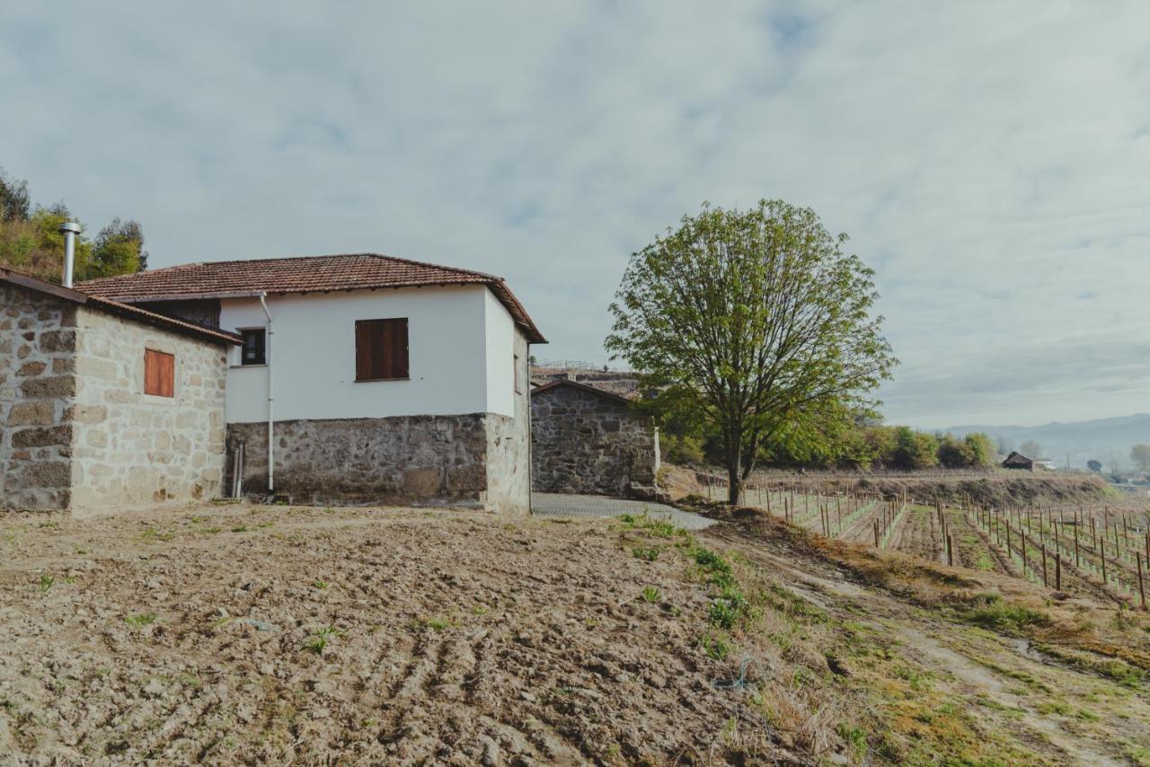 Vila The Farmhouse I - Uma Quinta Deslumbrante Felgueiras Exteriér fotografie