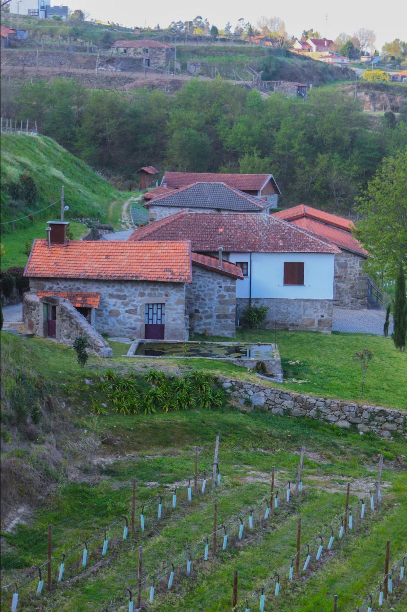 The Farmhouse I - Uma Quinta Deslumbrante Felgueiras Exteriér fotografie