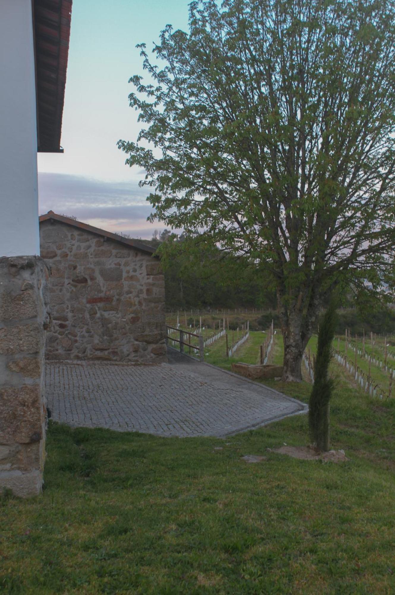 The Farmhouse I - Uma Quinta Deslumbrante Felgueiras Exteriér fotografie