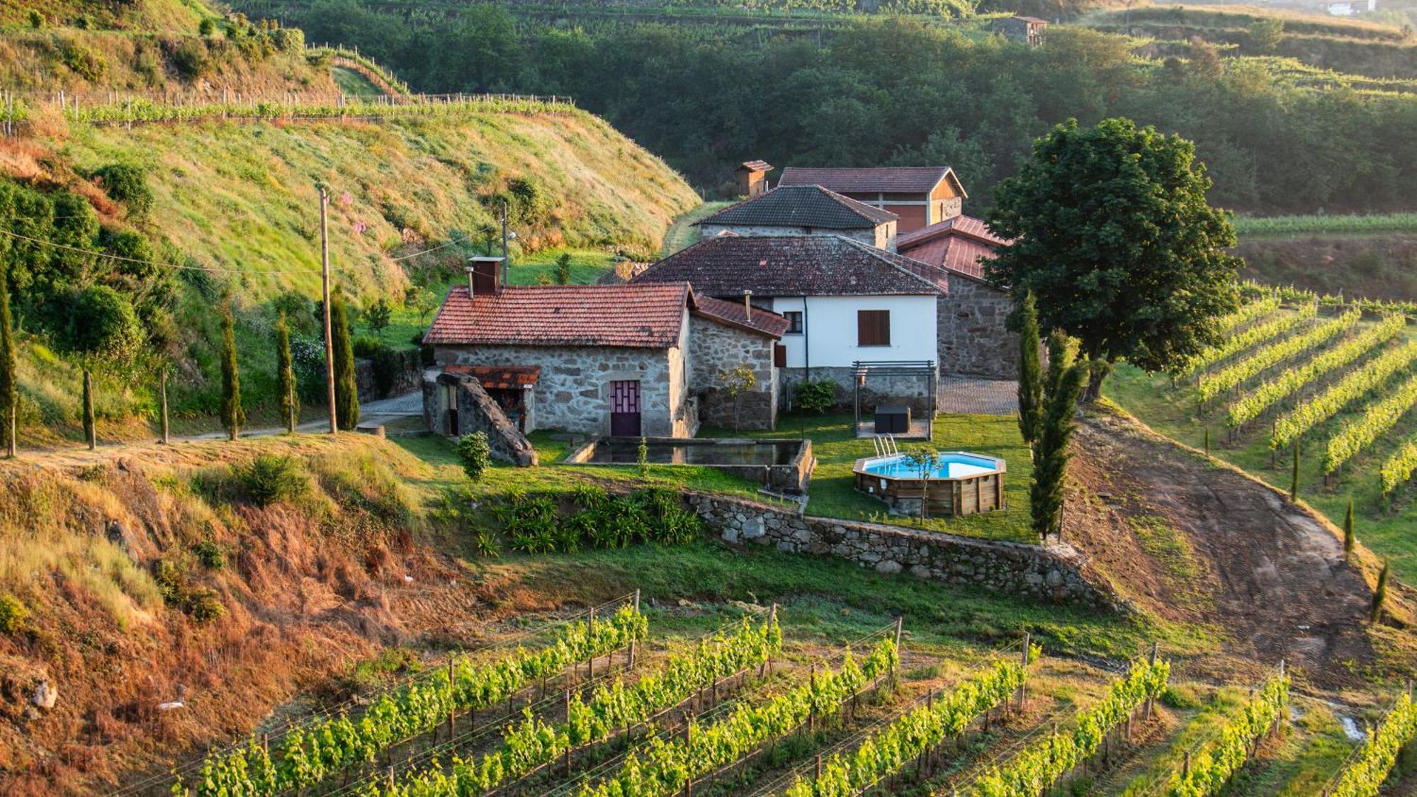 The Farmhouse I - Uma Quinta Deslumbrante Felgueiras Exteriér fotografie
